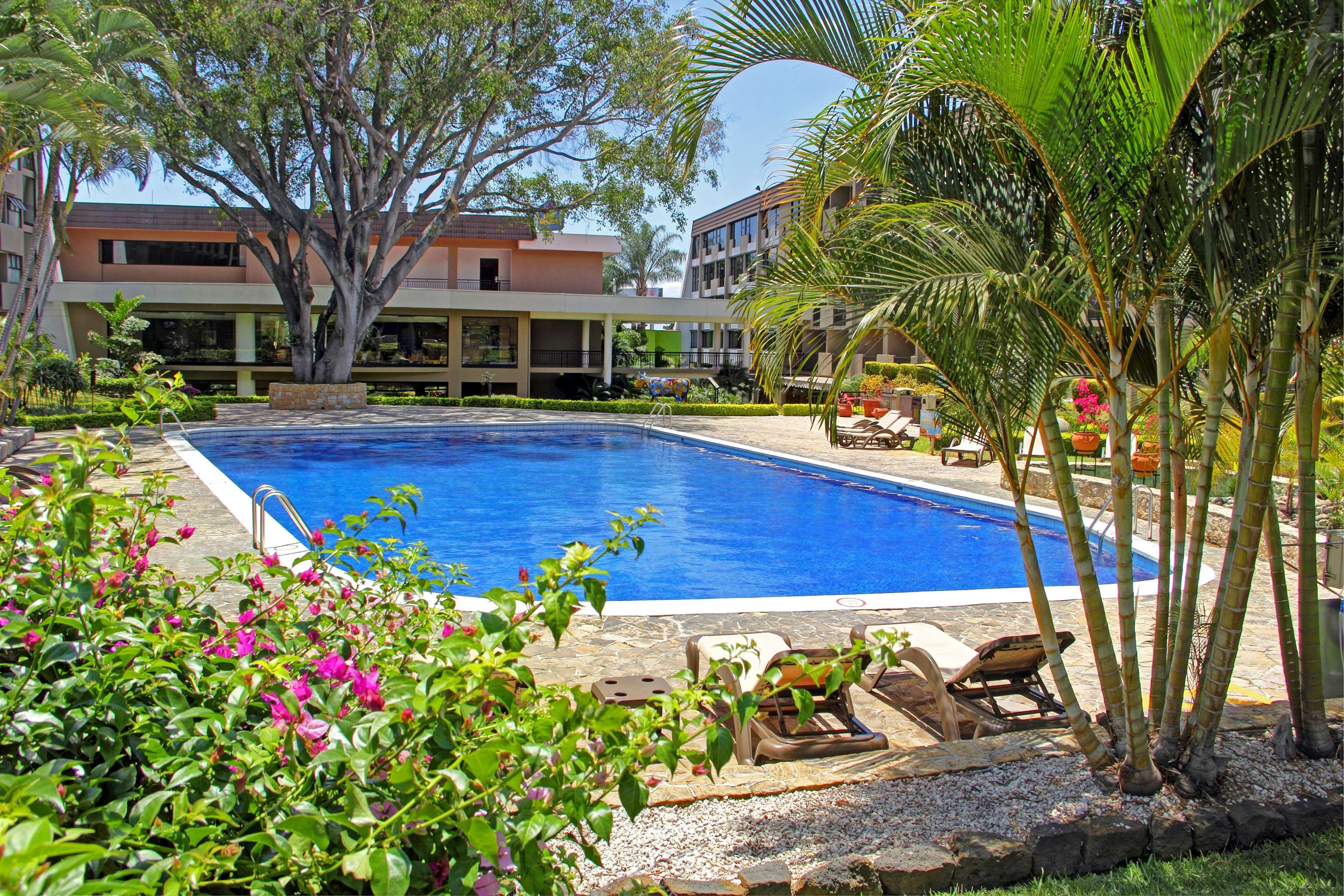 Irazu Hotel & Studios San José Extérieur photo