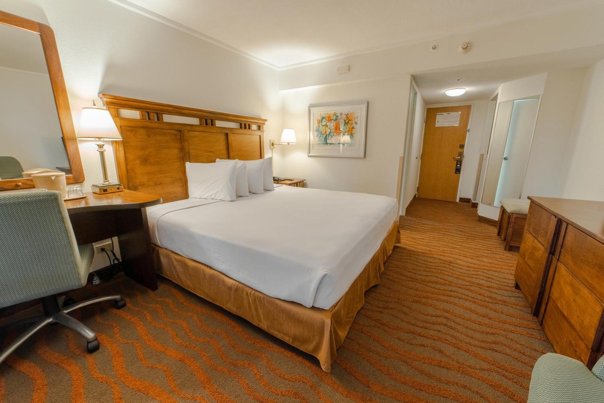 Irazu Hotel & Studios San José Extérieur photo